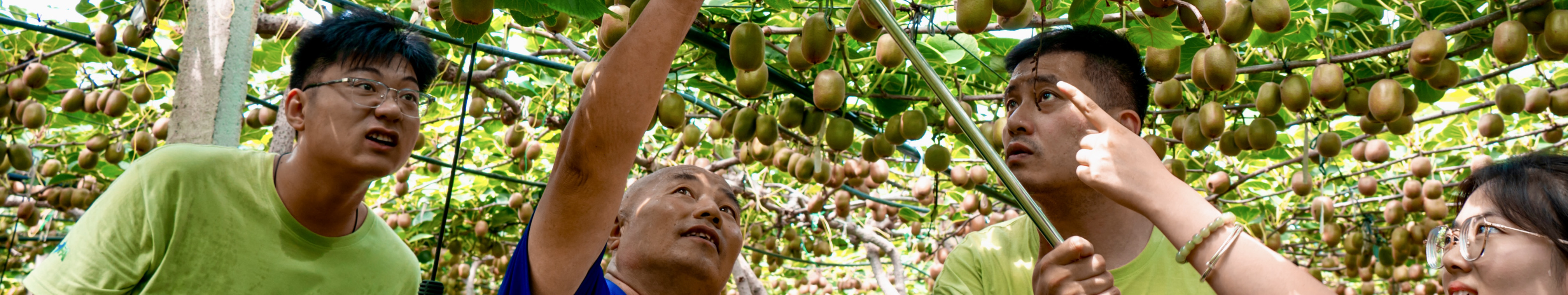 英国上市公司365